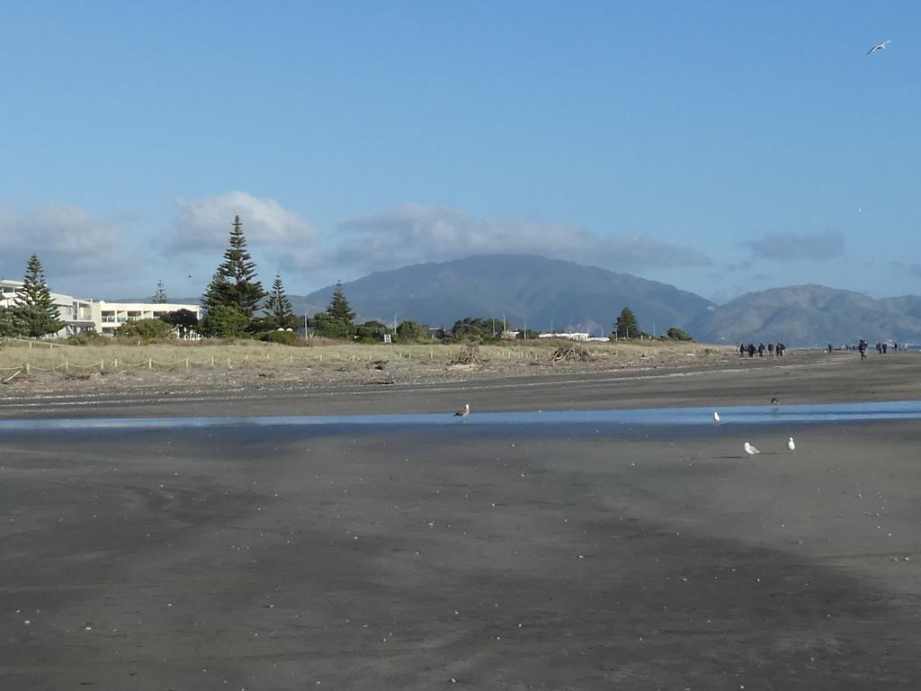 Apartment 4A - By The Beach Paraparaumu Buitenkant foto